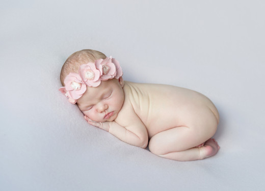 1629295 (a): :3500x2516